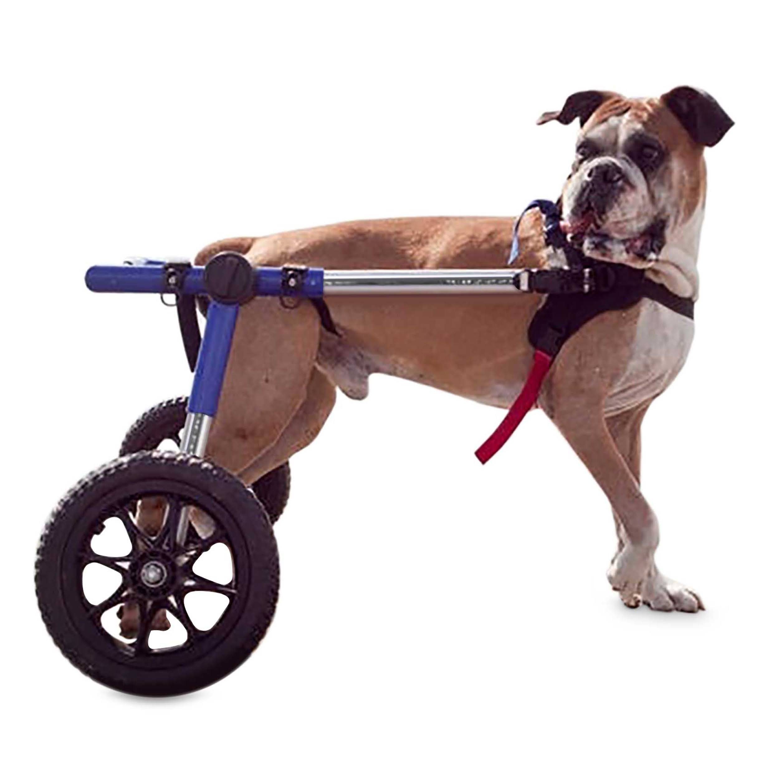 Walkin’ Wheels Dog Wheelchair – for Large Dogs 70-180 lbs – Veterinarian Approved 70-180 lbs, 14-16inch Leg